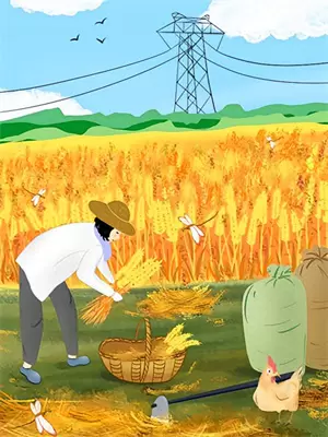 霸总别追了,夫人只想拿钱独美百度云
